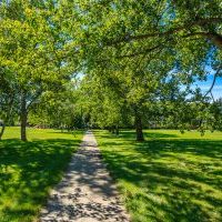 Glacier Park is located in the College Park neighborhood of Saskatoon.