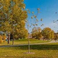 Pleasant Hill Park is located in the Pleasant Hill neighborhood of Saskatoon.
