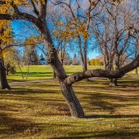 Victoria Park is located in the Riversdale and King George neighborhoods of Saskatoon.